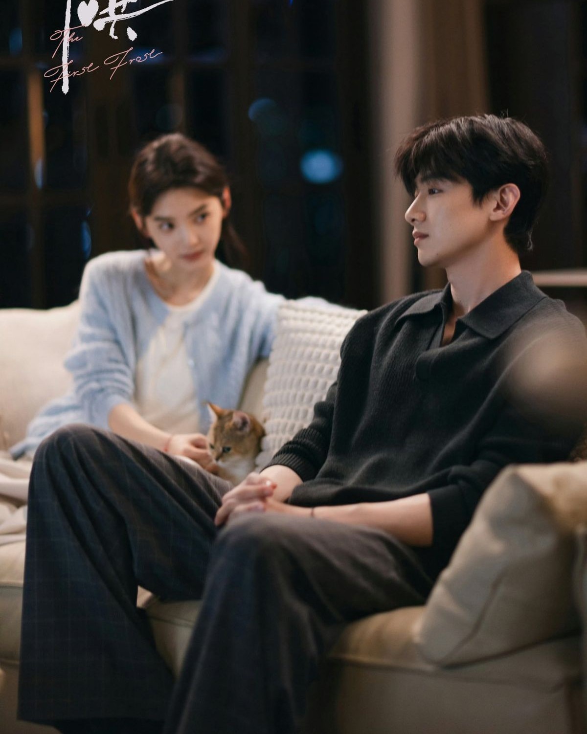 MẸ CHỒNG TÔI, TÌM VỢ CHO ANH TA